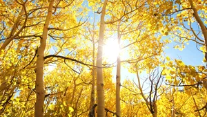 METEO Luna noiembrie începe cu vreme caldă