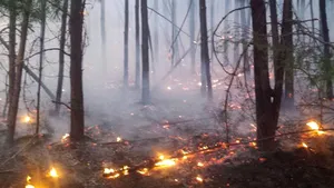 Incendiu puternic lângă Braşov