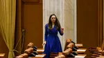 Președintele Camerei Deputaților, după incidentul cu Anamaria Gavrilă: Funcția de parlamentar nu presupune doar avantaje