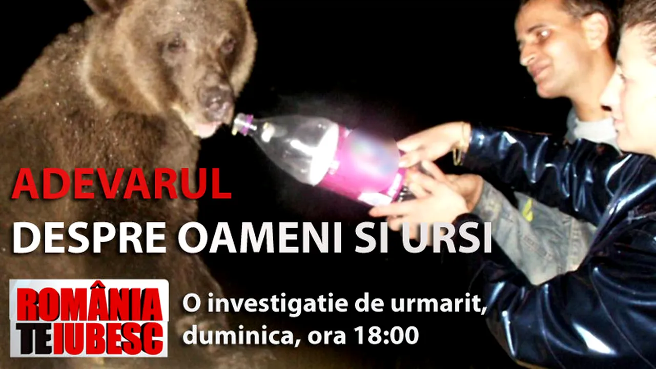 Ursul - între comoară naţională şi pacoste, duminică, la 