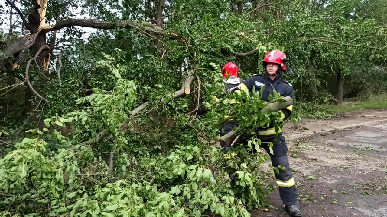 86 de localităţi din 27 judeţe şi Capitala, afectate de vântul puternic de marţi