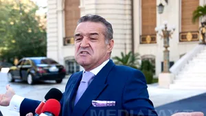 Membrii PNG Mediaş au demisionat în bloc şi s-au înscris în PDL, deranjaţi că Becali candidează la USL