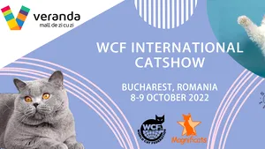 Magnificats - peste 130 de pisici de rasă WCF participă la expoziţia internaţională