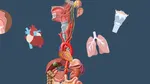 După 13 tratamente fără rezultat și ani de chin, stimularea nervului vag a schimbat evoluția depresiei
