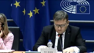 Vîlceanu: Dăncilul de la Ministerul Muncii a încurcat foile la Bruxelles. Vorbea fără noimă | VIDEO
