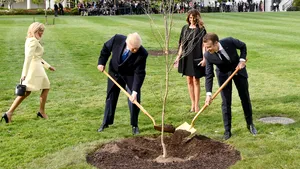 Simbolul prieteniei dintre Donald Trump şi Emmanuel Macron s-a uscat: Ce s-a întâmplat cu stejarul adus la Casa Albă dintr-o pădure din Franţa