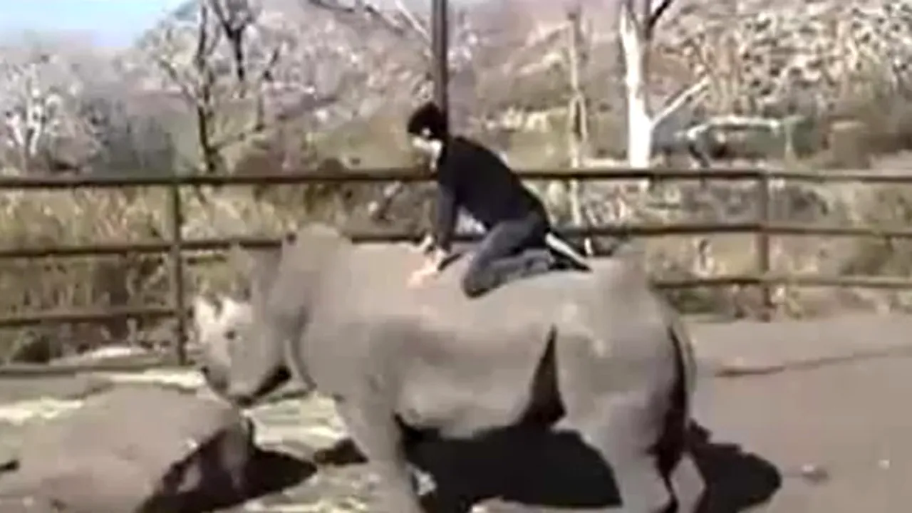 CURAJ SAU NEBUNIE? Un tânăr 