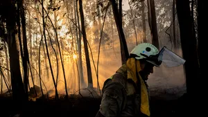 EXTERNE 12 persoane au murit într-un incendiu de pădure în Spania