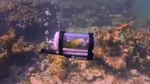 Un bărbat a construit un minisubmarin pentru papagalul său. Este primul papagal care face snorkeling