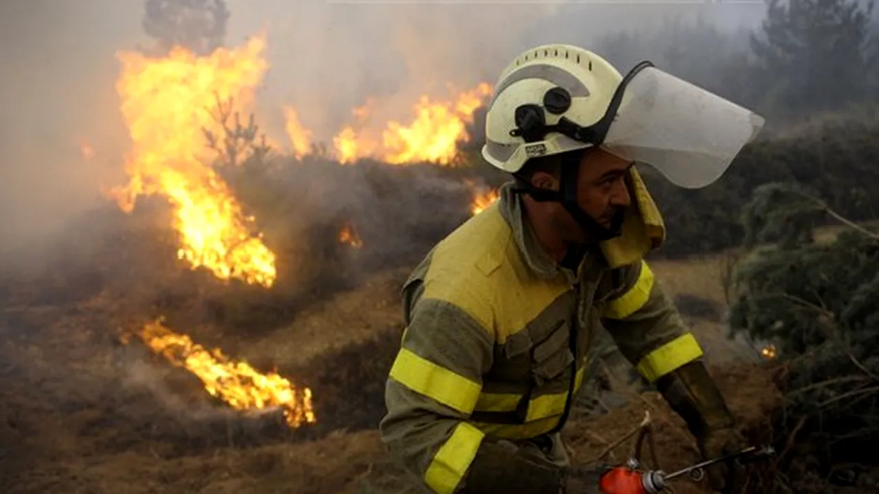 Seceta face ravagii în Spania: Peste 500 de pompieri încearcă să stingă incendiile de pădure din regiunea Cantabria