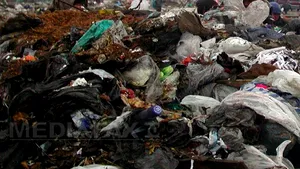 Rovana Plumb urmează să suspende importurile de deşeuri municipale pentru şase luni