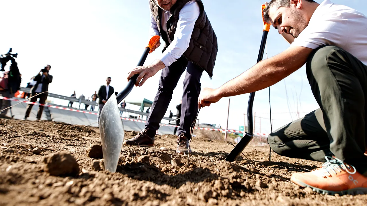 S-au plantat primii copaci pentru Centura Verde Bucureşti-Ilfov. Amendamente depuse la noul Cod Silvic ce legiferează
centurile verzi în toată ţara