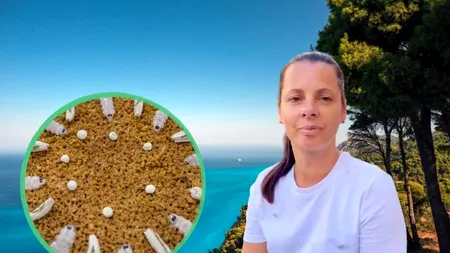 Chef Camelia Mihai a adus „inima Mediteranei” la Campionatul Mondial de Paella Valencia 2026