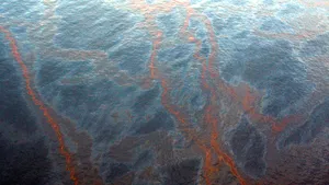Pături de petrol uriaşe, descoperite în adâncul Golfului Mexic