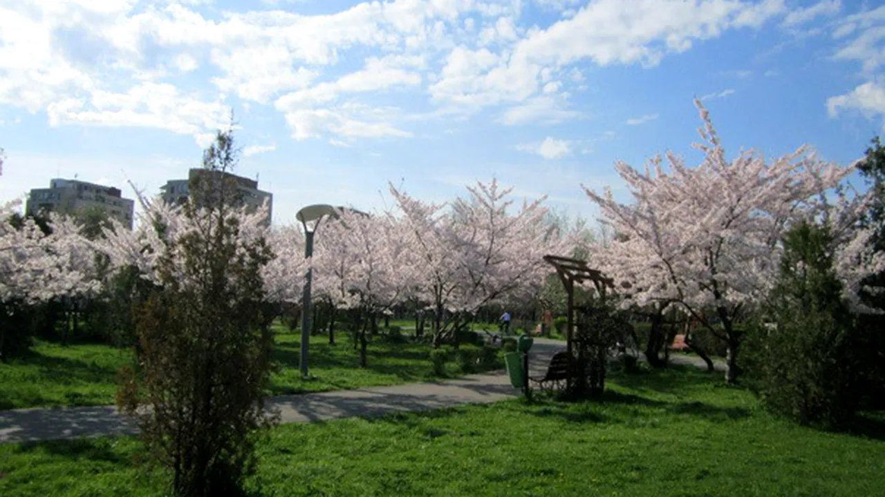 Plajă artificială cu palmieri şi trenuleţ, în Parcul 