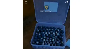 Cruzime. Un constănțean confecționa capcane cu cuie pentru pisici și le rănea. VIDEO