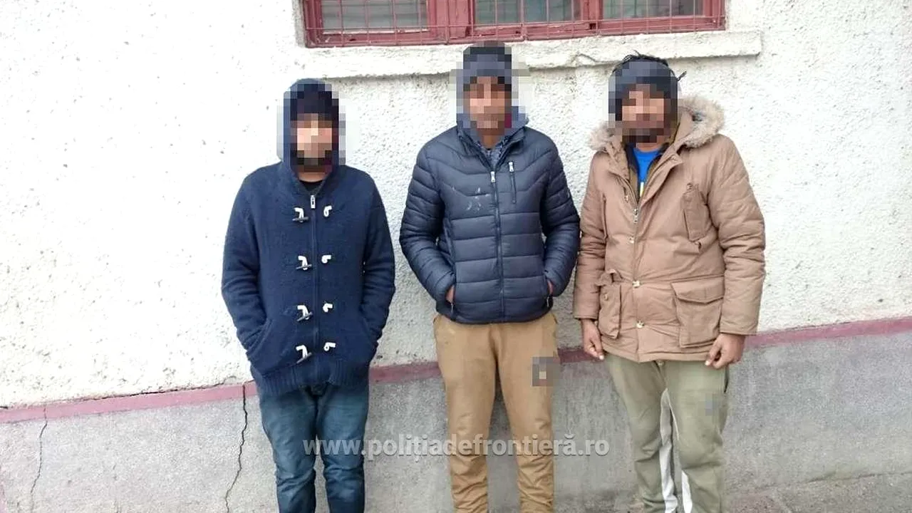 3 indieni care au vrut să intre ilegal în România, ajutaţi de călăuze din Italia, opriţi la graniţă