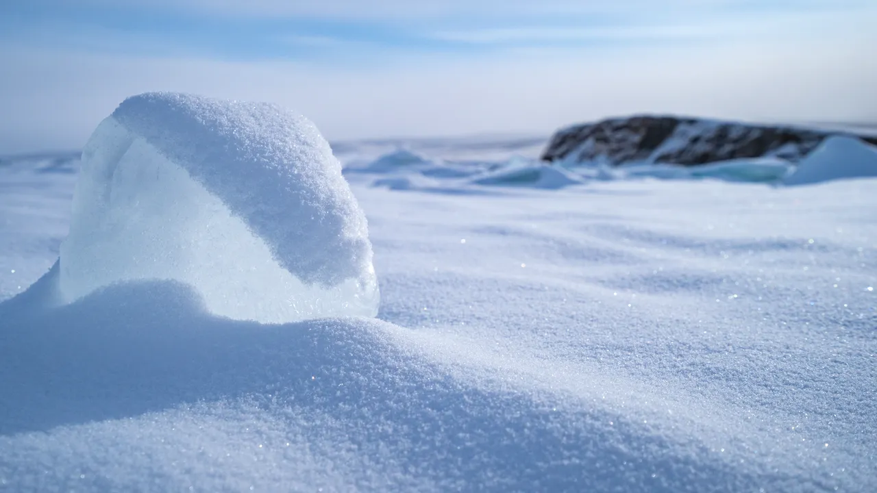 Descoperire extraordinară: viermi treziţi la viaţă după 46.000 de ani. Au „hibernat”, apoi au fost eliberaţi din permafrostul siberian