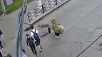 Accident bizar în Ucraina. O femeie a fost lovită de o căprioară în timp ce trecea pe zebră