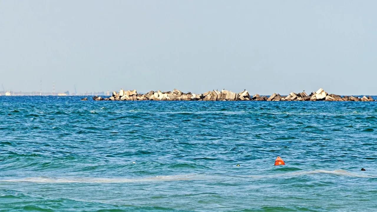 Marea insulă de gunoaie din Pacific creşte. Pe insulă s-a format un ecosistem