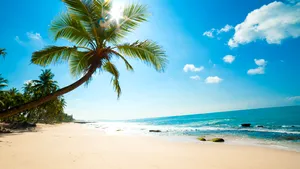 Kit pentru Vacanţa de Vară: Top 3 Cele mai frumoase cărţi şi albume muzicale pentru plajă