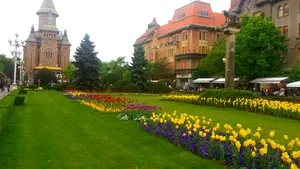 Primăria Timişoara, dată în judecată de familia unei femei lovite de un panou publicitar. Aceasta are nevoie de la trei la şase luni de spitalizare