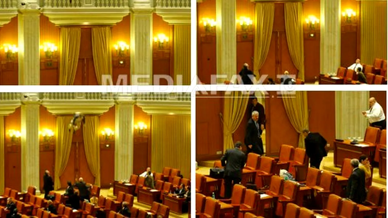 Protest în Parlament: Un bărbat s-a aruncat de la balcon, strigând: 
