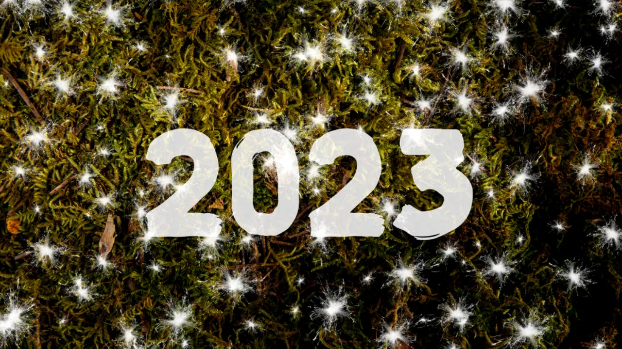The Infographics Show: 2023 va fi un an mai bun decât 2022? 