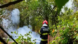 Incendiul de la Chilia a reizbucnit. Pompierii și Forțele Aeriene mobilizate pentru stingerea flăcărilor