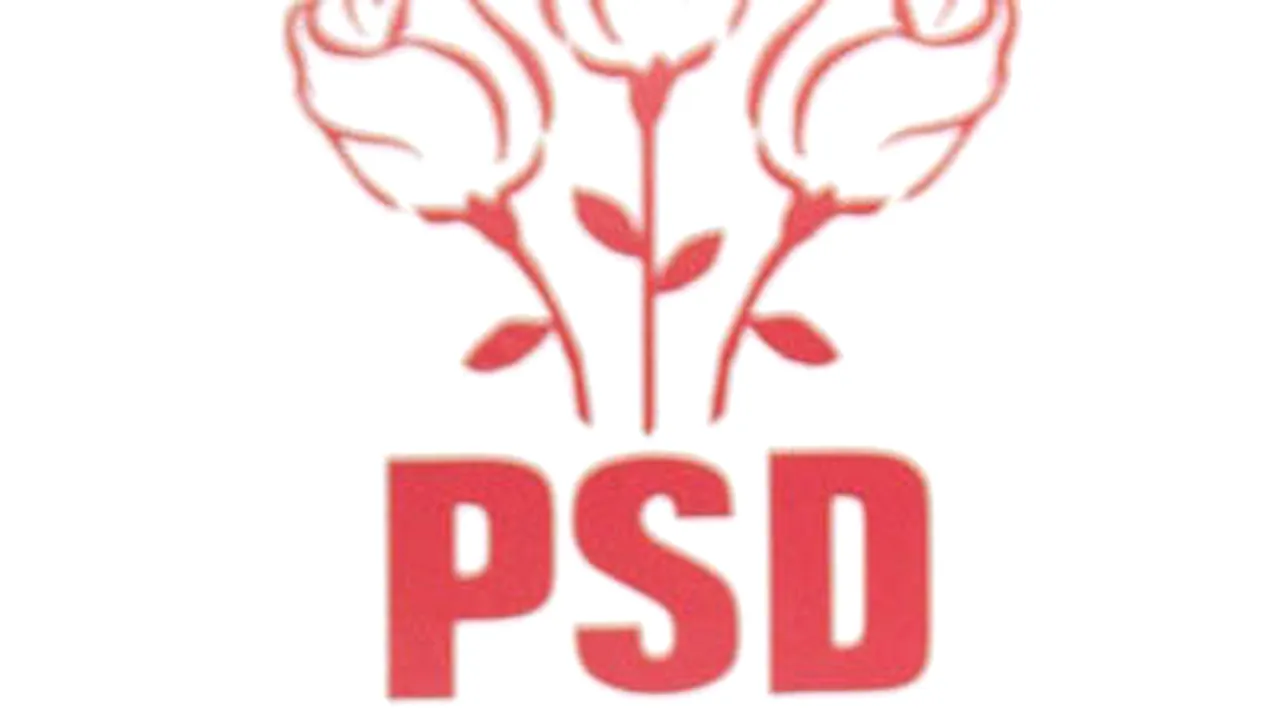 PSD Cluj împarte alegătorilor mături, sape şi parasolare cu mesaje de campanie pentru PE