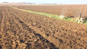 DRDP Iaşi: 40 de panouri parazăpezi au fost furate din apropierea DN 28