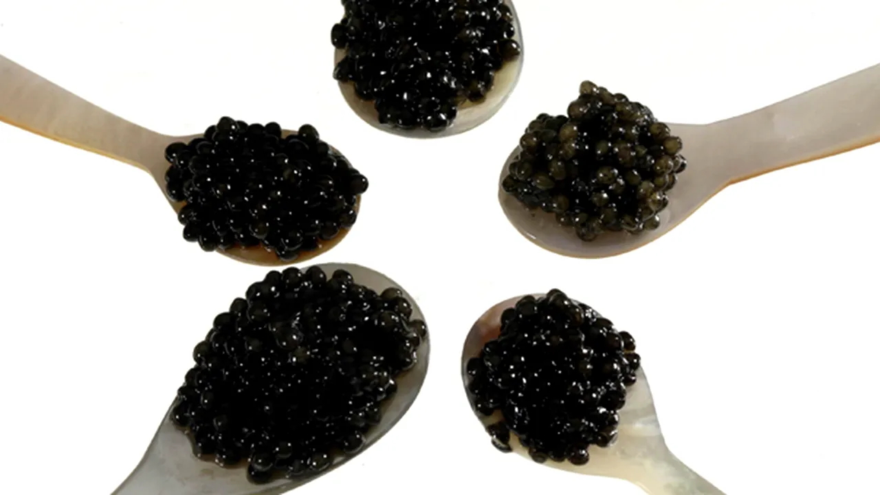 O firmă românească specializată în producţia de caviar s-ar putea lista la Bursa din Frankfurt