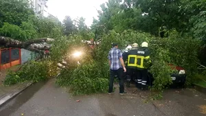 Ploile torenţiale au făcut ravagii în ţară: Drum naţional, închis. Zeci de case şi anexe, inundate/ Vijeliile au doborât mai mulţi copaci pe carosabil, iar două maşini au fost avariate | FOTO, VIDEO