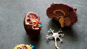 Scobitul în nas poate creşte riscul de Alzheimer