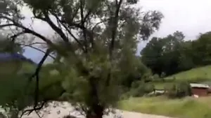 INUNDAŢII în Apuseni: Mai multe case şi drumuri, afectate. Două maşini şi un garaj, luate de ape | FOTO, VIDEO