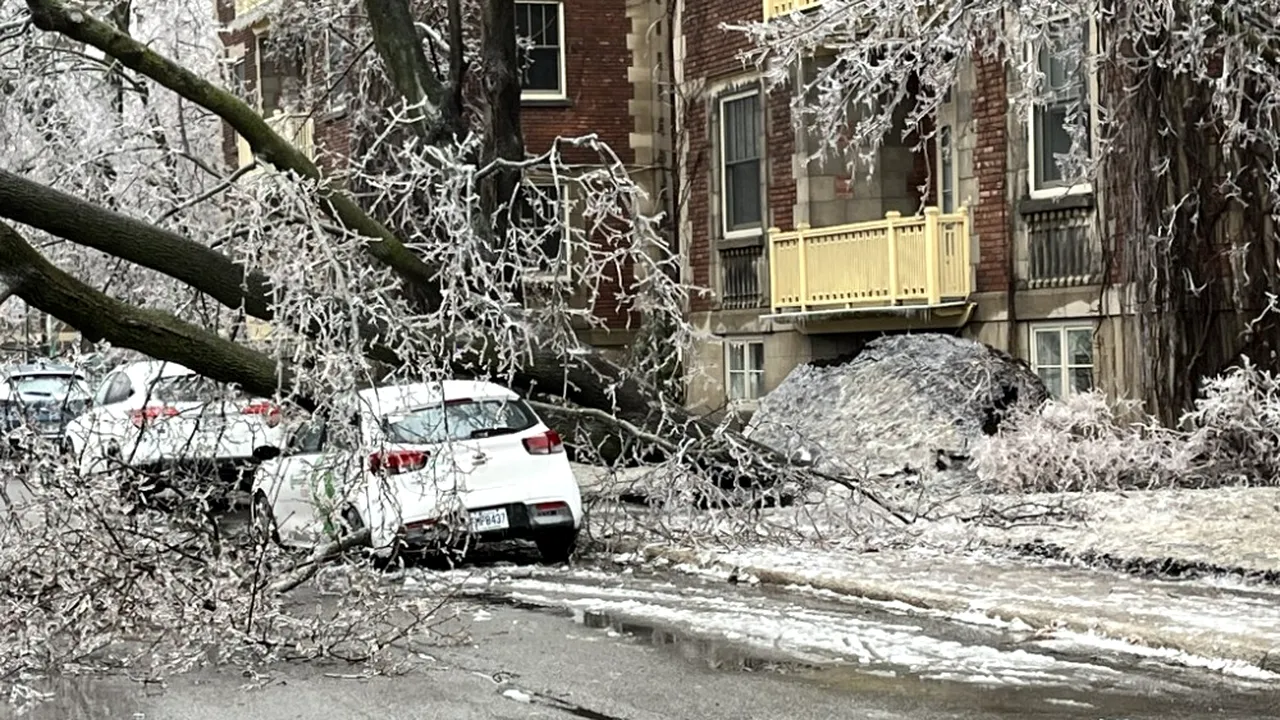 Furtună de gheaţă în Canada: doi oameni au murit, un milion de persoane nu au curent electric