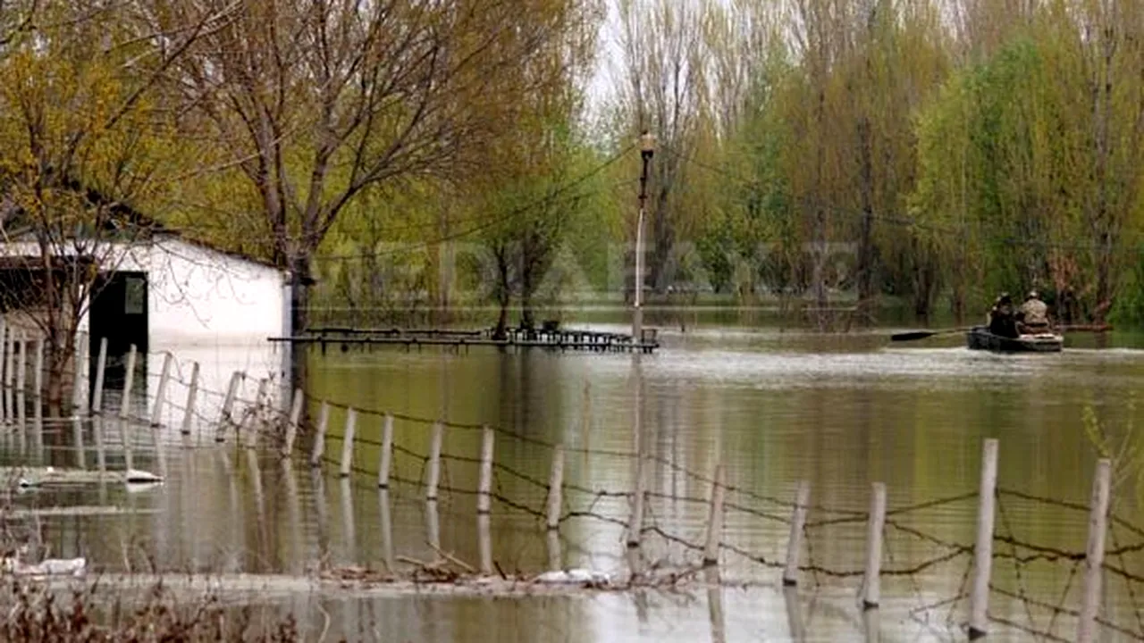 Terenuri inundate de revărsarea Dunării, în Dolj