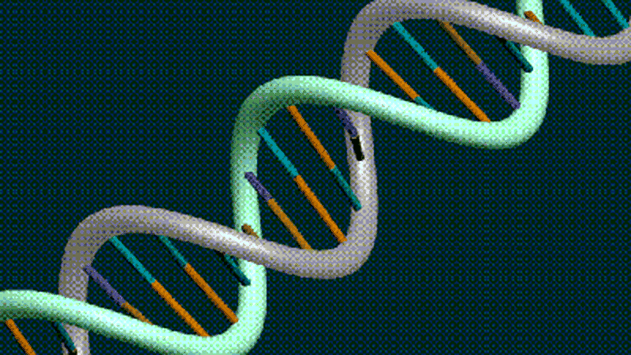 Prima decriptare a genomului unei femei, realizată de geneticienii olandezi