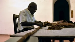 Record mondial: Cel mai lung trabuc din lume are 81,8 metri