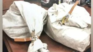 „Gunoi” de 1 milion de dolari. Ce a găsit o familie din Statele Unite în mijlocul drumului