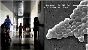 Sector din Secţia ATI a Spitalului de Urgenţă Turnu Severin, închis/ 4 pacienţi, morţi din cauza unei bacterii patogene