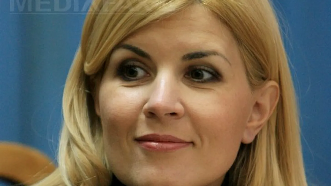 Udrea lansează concurs pe blog: Spuneţi ce taxă mai introduce Guvernul şi primiţi o navetă de bere