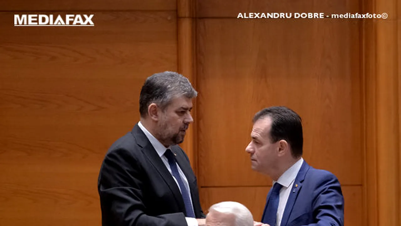 COMENTARIU Lelia Munteanu: Partidul Naţional Liberal Social-Democrat