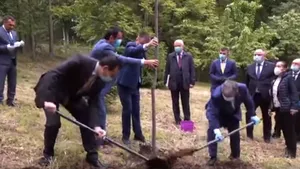 VIDEO Ludovic Orban a plantat un copac, care era deja plantat. Momentul a fost distribuit şi şters de Marcel Vela