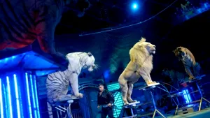 Circul Globus din Capitală şi-a schimbat denumirea