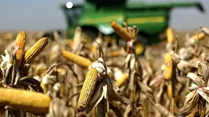 Fermierii vor putea obţine adeverinţe pentru subvenţii chiar dacă au datorii la bugetul local