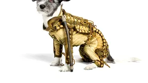 Un costum spaţial pentru câini creat de sovietici, estimat la 8.000 de euro, scos la licitaţie. Cum arată costumul făcut în anii '50 - FOTO