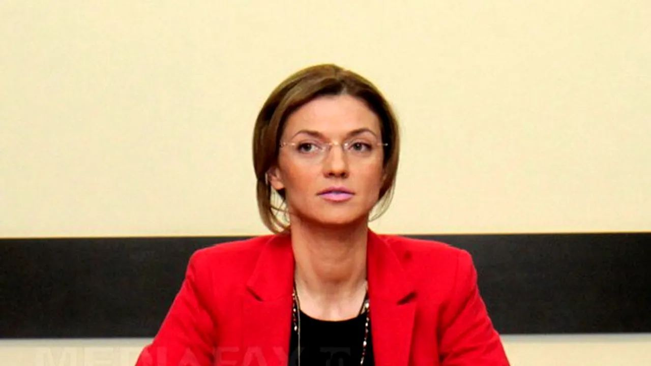 Gorghiu: Acordul forţelor politice privind Codul Fiscal este fundamental