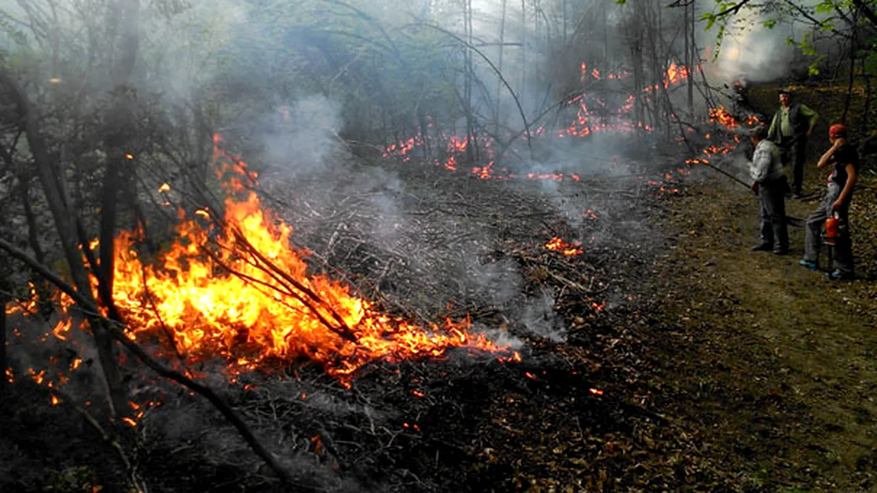Incendiu la o cabană din pădurea Snagov. Cabana aparţine RA-APPS