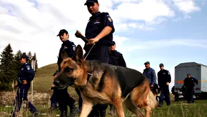 Fotografii cu avocata Elodia Ghinescu, găsite într-o râpă